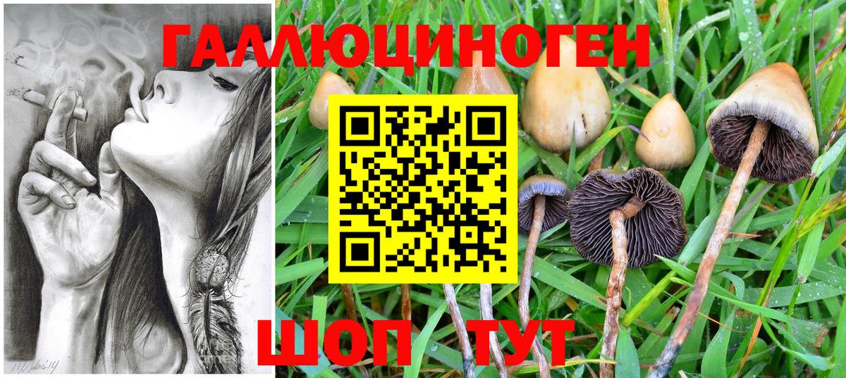 Псилоцибиновые грибы Magic Shrooms Касимов