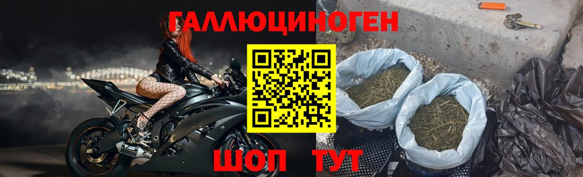 Псилоцибиновые грибы Magic Shrooms  Вход с VPN  Касимов 